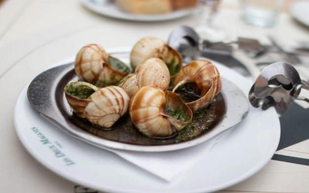 巴黎餐廳推薦 巴黎餐廳推薦