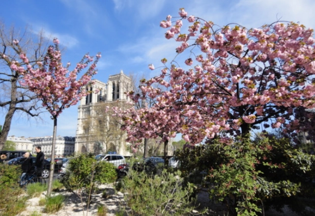 巴黎四月旅遊 巴黎四月旅遊