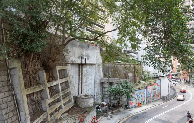 香港九龍必去景點