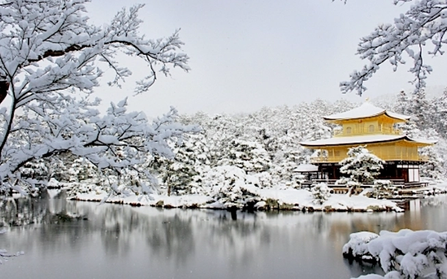 1月京都旅遊 1月京都旅遊