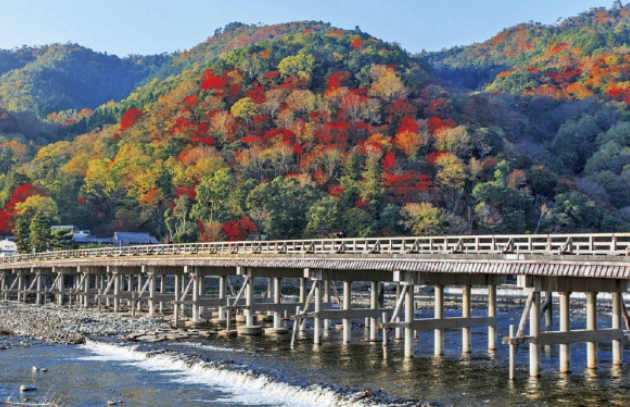 嵐山交通 嵐山交通