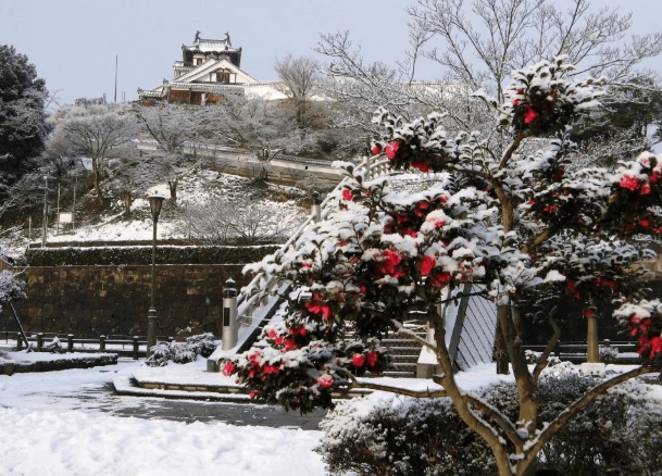 12月京都旅行 12月京都旅行