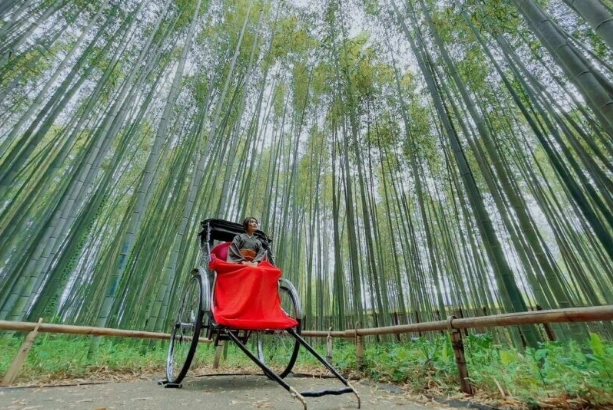 京都嵐山攻略 京都嵐山攻略