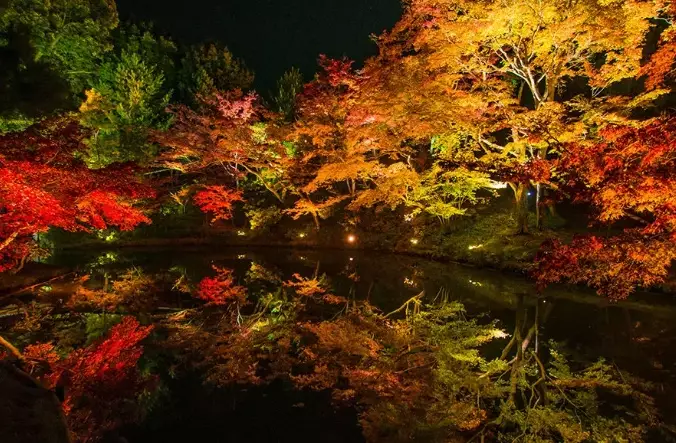 京都紅葉景點 京都紅葉景點