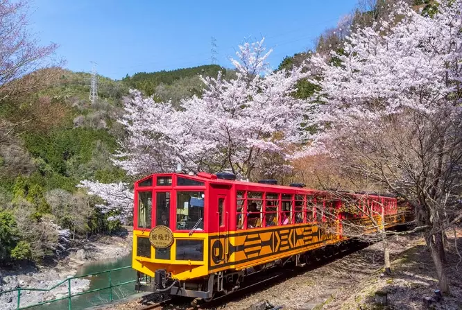 嵐山一日遊路線