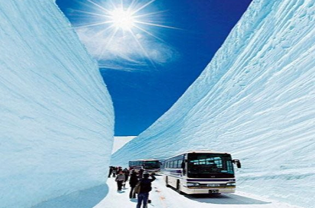 春季日本自由行 春季日本自由行