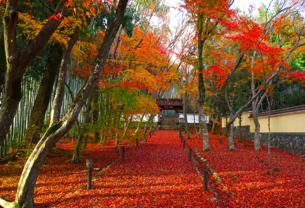 12月京都旅遊 12月京都旅遊