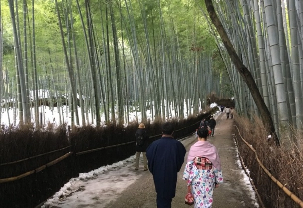 嵐山一日遊 嵐山一日遊