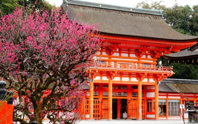 京都二月穿搭 京都二月穿搭