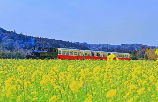 日本3月適合去哪