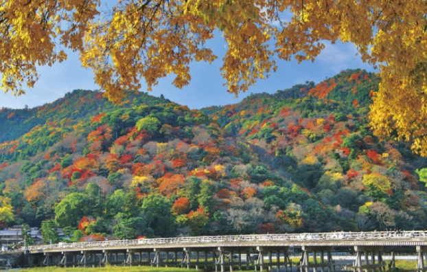嵐山一日遊 嵐山一日遊