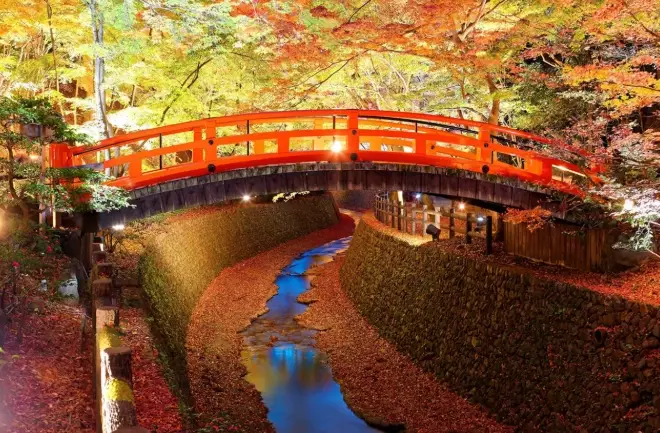 12月京都旅遊 12月京都旅遊