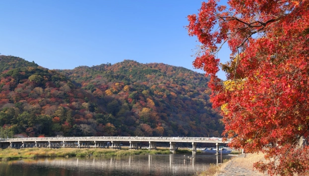 嵐山交通 嵐山交通