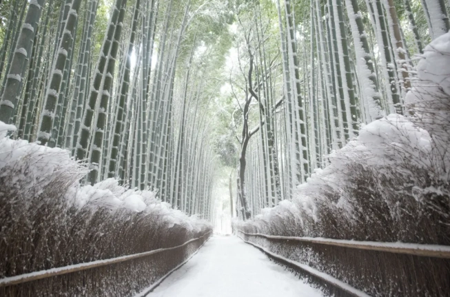 京都二月穿搭 京都二月穿搭
