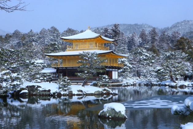 京都雪景景點