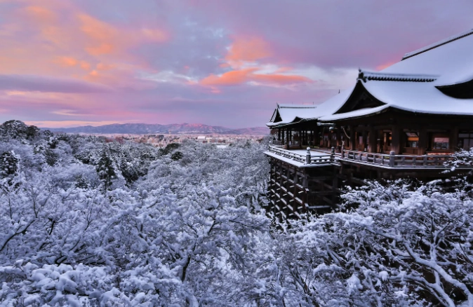 1月京都旅遊 1月京都旅遊