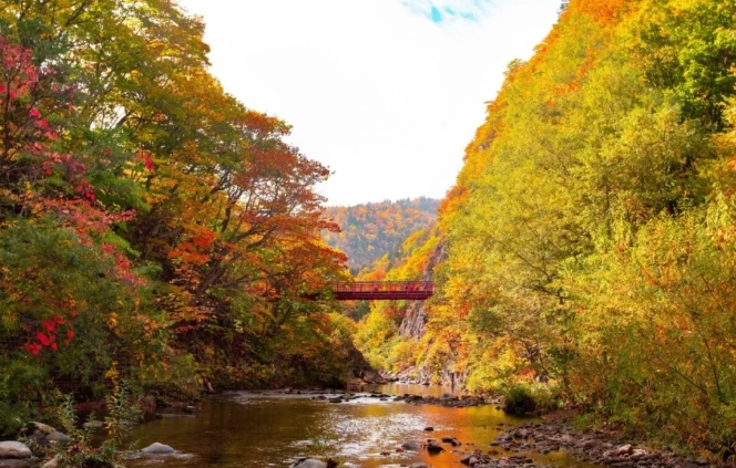 日本九月天氣 日本九月天氣