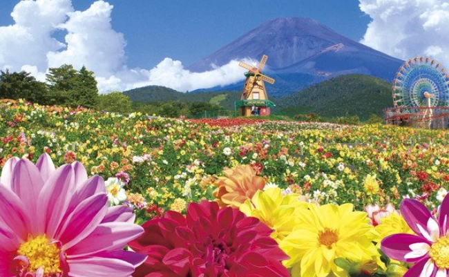 日本秋季旅遊 日本秋季旅遊