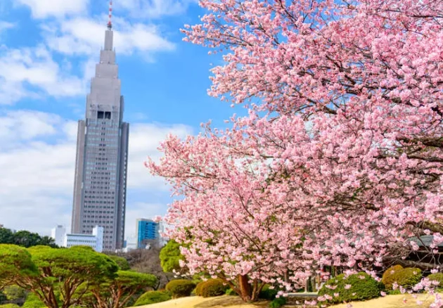 新宿御苑行程規劃 新宿御苑行程規劃