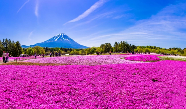 日本旅遊便宜季節