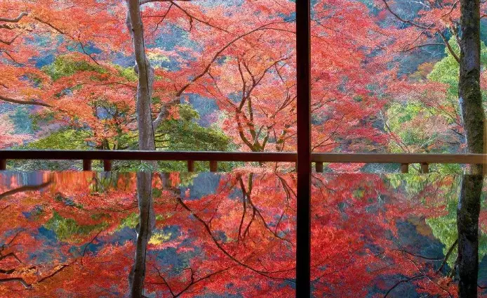 京都自由行行程