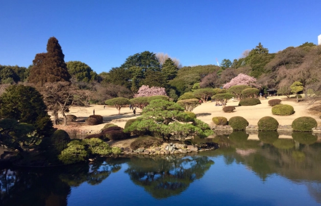 新宿御苑遊覽時間 新宿御苑遊覽時間