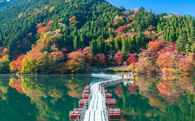 10月日本自由行推薦