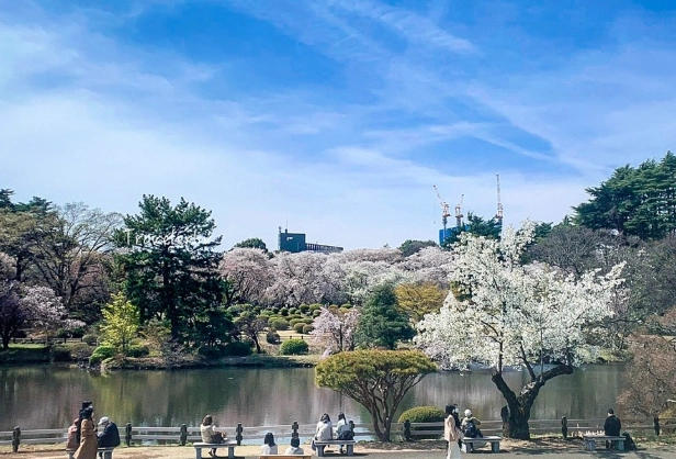 新宿御苑營業時間