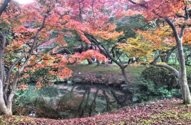 新宿御苑要門票嗎
