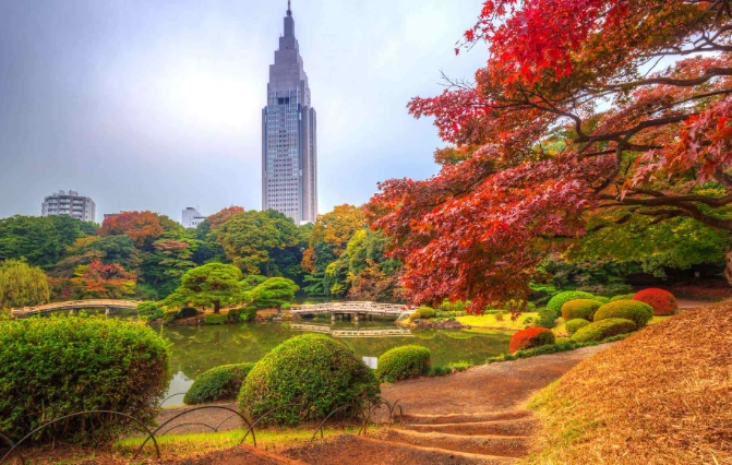 新宿御苑行程規劃 新宿御苑行程規劃