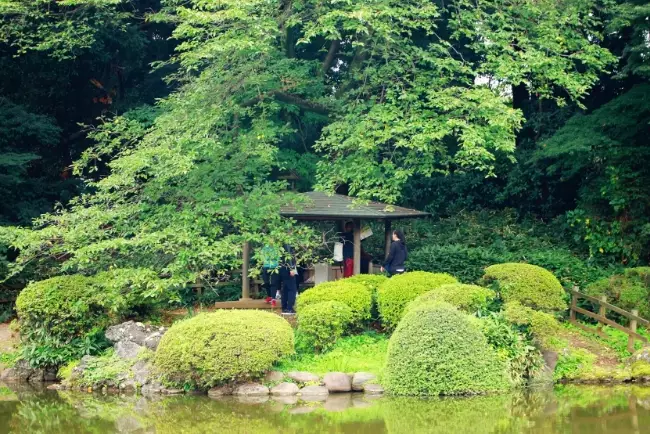 新宿御苑遊覽時間 新宿御苑遊覽時間