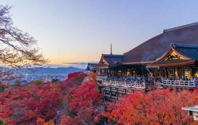 京都短時間旅遊