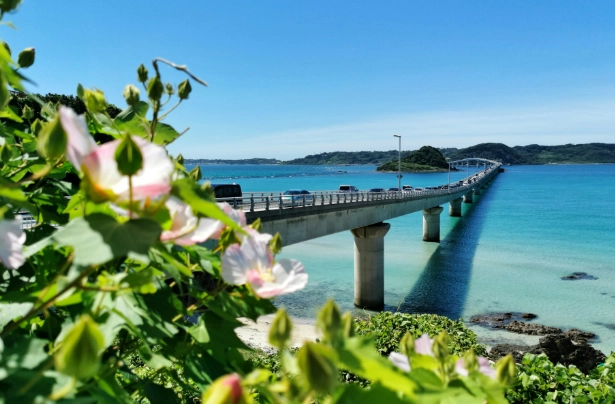 幾月去日本最好