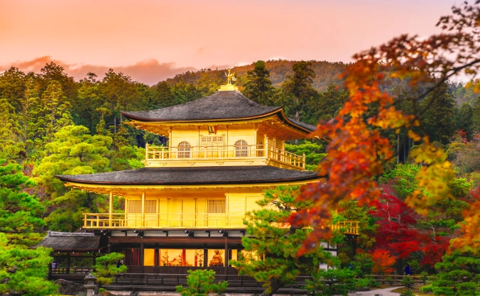 京都一日遊行程