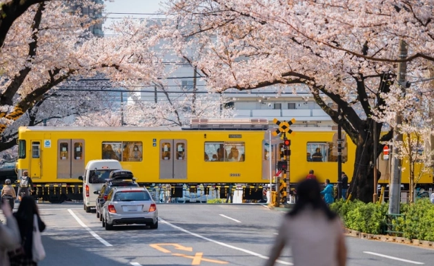東京居住區域比較