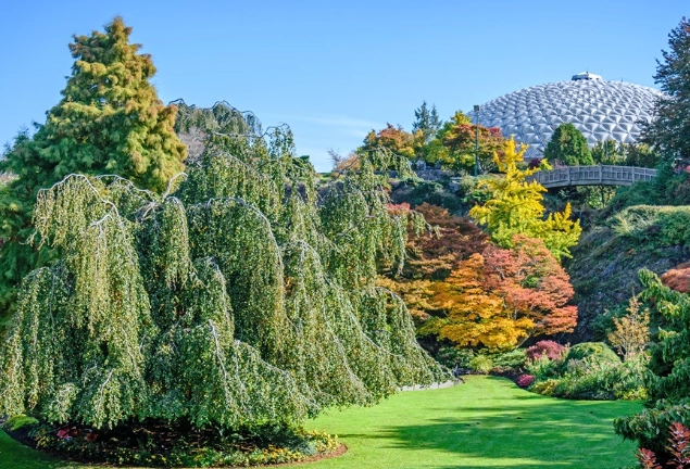 溫哥華自由行行程