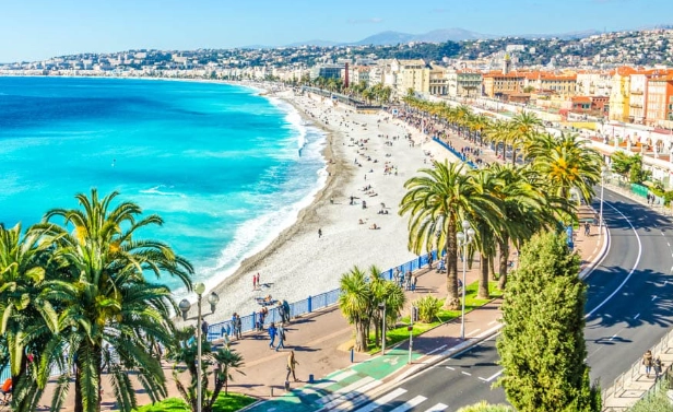 尼斯安全 尼斯安全