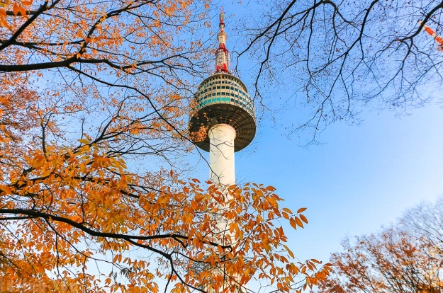 南山塔交通 南山塔交通