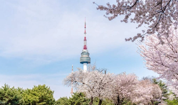 南山塔門票 南山塔門票