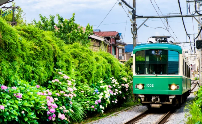 鎌倉隱藏景點 鎌倉隱藏景點