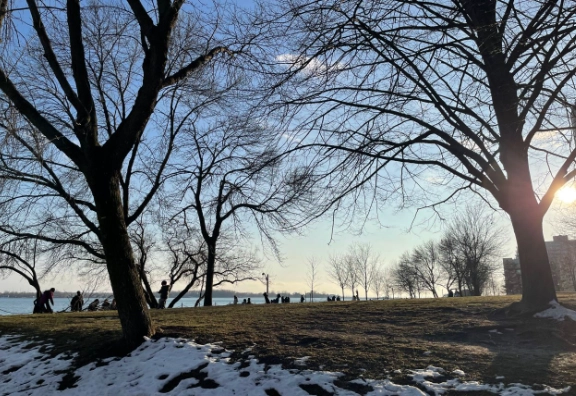 多倫多自由行 多倫多自由行