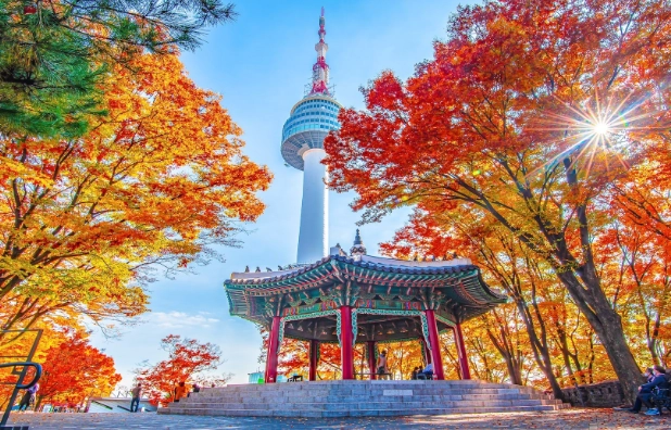 南山塔附近旅遊 南山塔附近旅遊