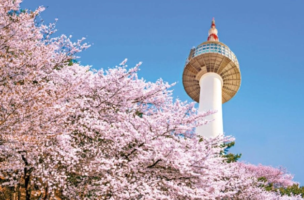 南山塔周邊景點 南山塔周邊景點