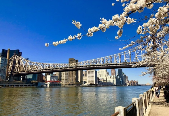 紐約自由行 紐約自由行