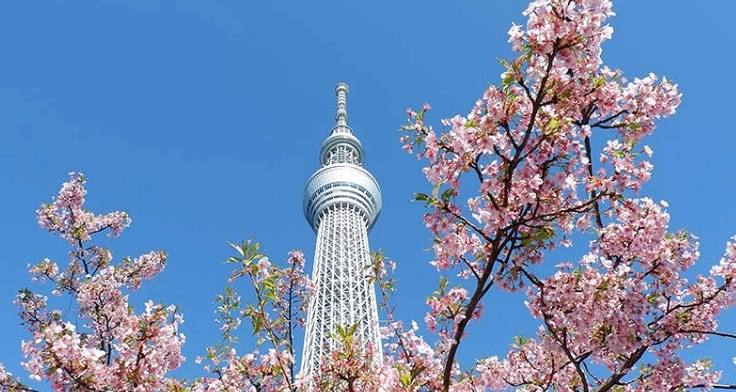 晴空塔拍照攻略