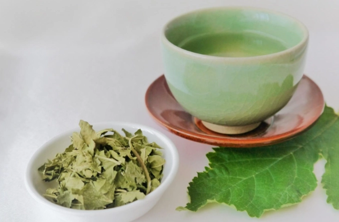 桑葉茶副作用