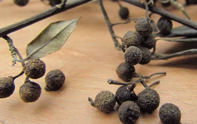 山胡椒过敏 山胡椒过敏