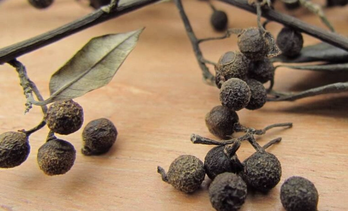 天然壯陽植物 天然壯陽植物