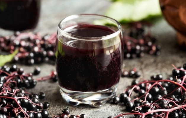 接骨木莓怎麼吃