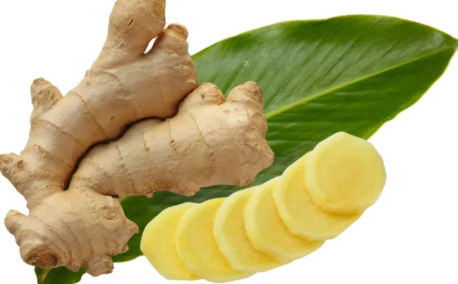 早薑 料理 早薑 料理